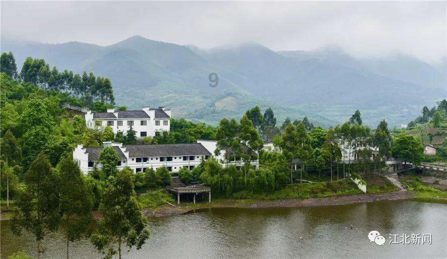 参加继续教育培训都要学习哪些课程？游戏画面