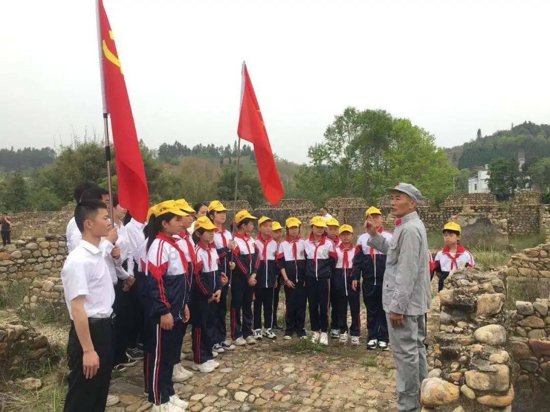 口袋森林世界杯防守战